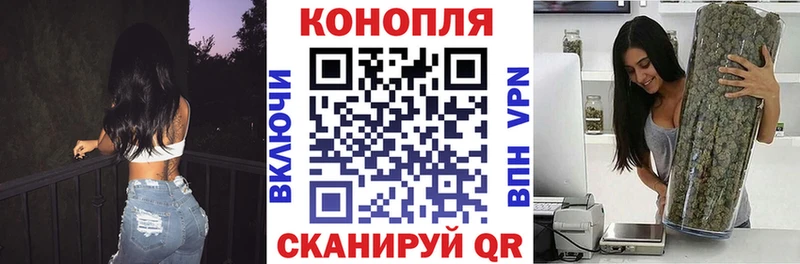 МАРИХУАНА конопля Дорогобуж